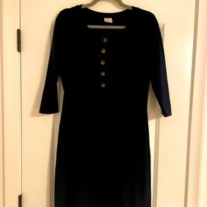 LouLou and Co Everyday Dress in Navy